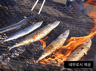 꽁치 축제(네무로시), 9월 