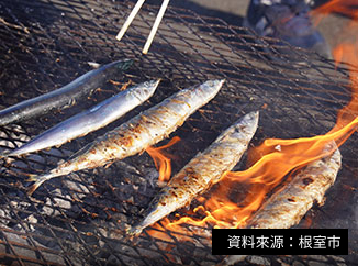 秋刀魚祭（根室市），9 月 