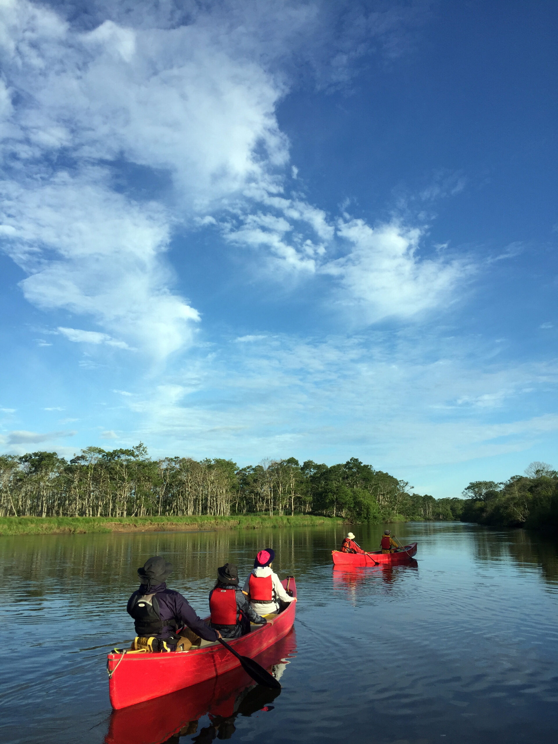 釧路川カヌー